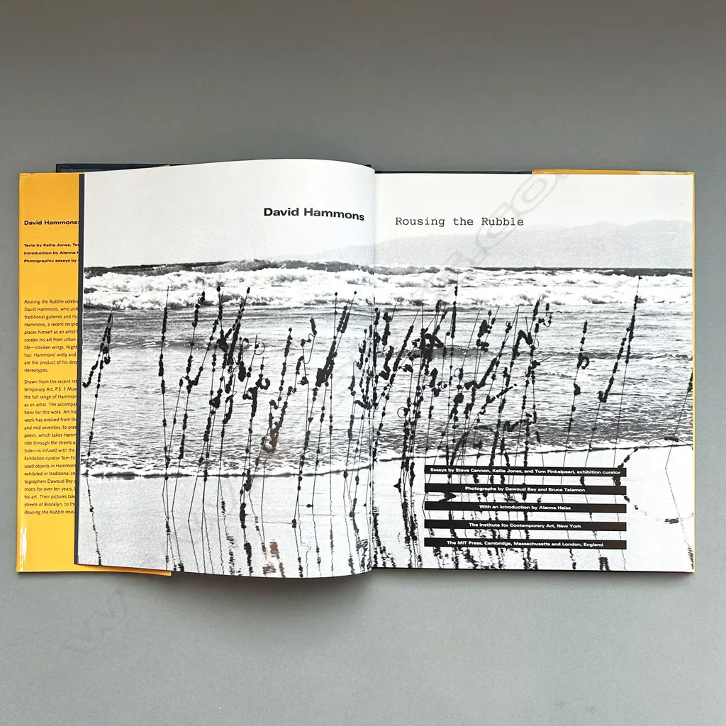 DAVID HAMMONS: ROUSING THE RUBBLE Image 1++